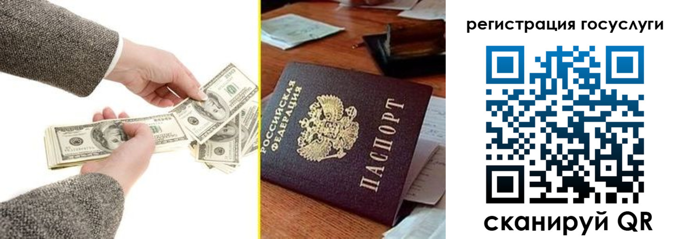 пропишу в квартире в Смоленской области